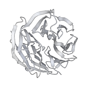 20513_6pww_B_v1-1
Cryo-EM structure of MLL1 in complex with RbBP5 and WDR5 bound to the nucleosome