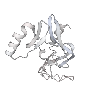 20513_6pww_C_v1-1
Cryo-EM structure of MLL1 in complex with RbBP5 and WDR5 bound to the nucleosome