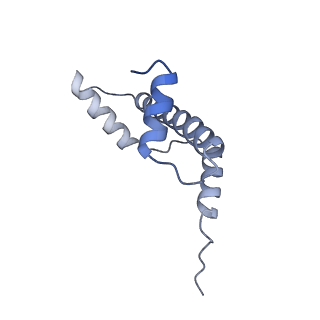 20513_6pww_G_v1-0
Cryo-EM structure of MLL1 in complex with RbBP5 and WDR5 bound to the nucleosome