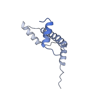 20513_6pww_G_v1-1
Cryo-EM structure of MLL1 in complex with RbBP5 and WDR5 bound to the nucleosome