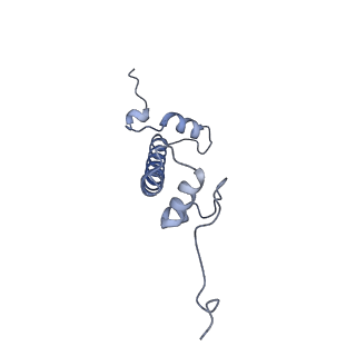 20513_6pww_I_v1-0
Cryo-EM structure of MLL1 in complex with RbBP5 and WDR5 bound to the nucleosome