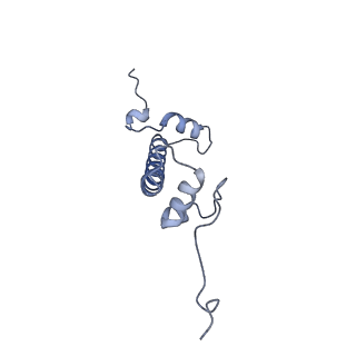 20513_6pww_I_v1-1
Cryo-EM structure of MLL1 in complex with RbBP5 and WDR5 bound to the nucleosome