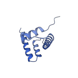 20513_6pww_J_v1-1
Cryo-EM structure of MLL1 in complex with RbBP5 and WDR5 bound to the nucleosome