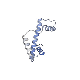 20513_6pww_K_v1-0
Cryo-EM structure of MLL1 in complex with RbBP5 and WDR5 bound to the nucleosome