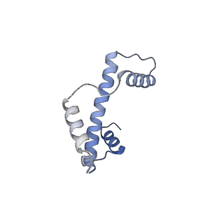 20513_6pww_K_v1-1
Cryo-EM structure of MLL1 in complex with RbBP5 and WDR5 bound to the nucleosome