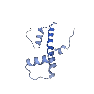 20513_6pww_L_v1-1
Cryo-EM structure of MLL1 in complex with RbBP5 and WDR5 bound to the nucleosome