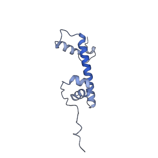 20513_6pww_M_v1-0
Cryo-EM structure of MLL1 in complex with RbBP5 and WDR5 bound to the nucleosome