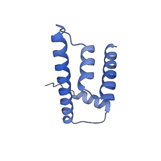 20513_6pww_N_v1-0
Cryo-EM structure of MLL1 in complex with RbBP5 and WDR5 bound to the nucleosome