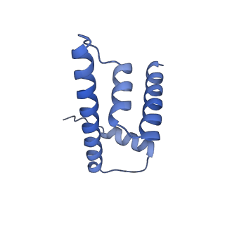 20513_6pww_N_v1-1
Cryo-EM structure of MLL1 in complex with RbBP5 and WDR5 bound to the nucleosome