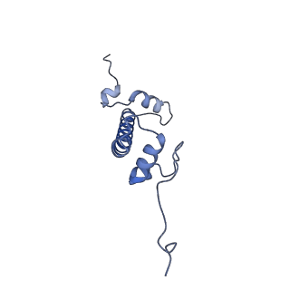 20514_6pwx_I_v1-0
Cryo-EM structure of RbBP5 bound to the nucleosome