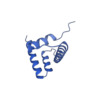 20514_6pwx_J_v1-0
Cryo-EM structure of RbBP5 bound to the nucleosome