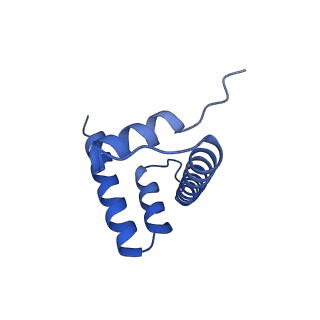 20514_6pwx_J_v1-1
Cryo-EM structure of RbBP5 bound to the nucleosome