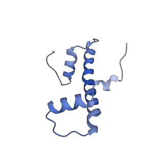 20514_6pwx_L_v1-0
Cryo-EM structure of RbBP5 bound to the nucleosome
