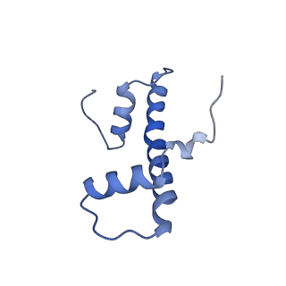 20514_6pwx_L_v1-1
Cryo-EM structure of RbBP5 bound to the nucleosome