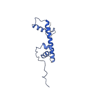 20514_6pwx_M_v1-0
Cryo-EM structure of RbBP5 bound to the nucleosome