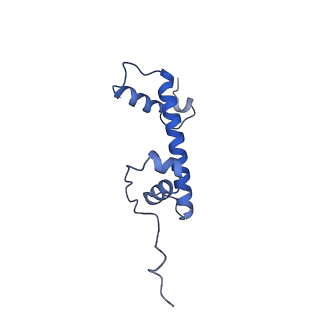 20514_6pwx_M_v1-1
Cryo-EM structure of RbBP5 bound to the nucleosome