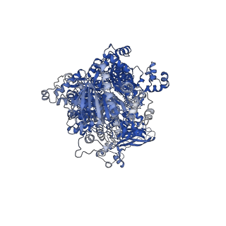 13690_7px3_B_v1-1
Structure of U5 snRNP assembly and recycling factor TSSC4 in complex with BRR2 and Jab1 domain of PRPF8