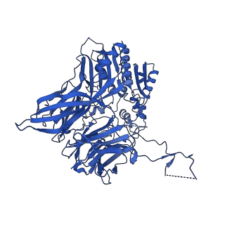 13691_7px8_B_v1-2
CryoEM structure of mammalian acylaminoacyl-peptidase