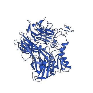 13691_7px8_C_v1-2
CryoEM structure of mammalian acylaminoacyl-peptidase