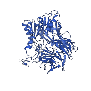 13691_7px8_D_v1-2
CryoEM structure of mammalian acylaminoacyl-peptidase