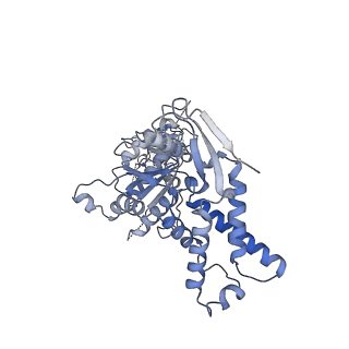 13694_7px9_A_v1-1
Substrate-engaged mycobacterial Proteasome-associated ATPase - focused 3D refinement (state A)