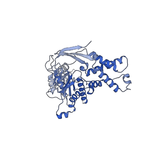 13694_7px9_B_v1-1
Substrate-engaged mycobacterial Proteasome-associated ATPase - focused 3D refinement (state A)