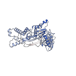13694_7px9_C_v1-1
Substrate-engaged mycobacterial Proteasome-associated ATPase - focused 3D refinement (state A)