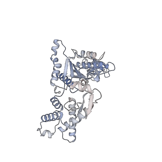13694_7px9_D_v1-1
Substrate-engaged mycobacterial Proteasome-associated ATPase - focused 3D refinement (state A)