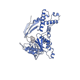 13694_7px9_E_v1-1
Substrate-engaged mycobacterial Proteasome-associated ATPase - focused 3D refinement (state A)