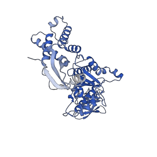 13694_7px9_F_v1-1
Substrate-engaged mycobacterial Proteasome-associated ATPase - focused 3D refinement (state A)
