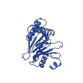 13695_7pxa_0_v1-1
Open-gate mycobacterium 20S CP proteasome in complex MPA - global 3D refinement