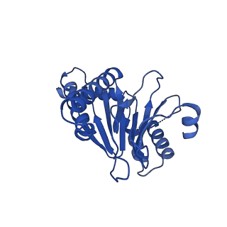 13695_7pxa_2_v1-1
Open-gate mycobacterium 20S CP proteasome in complex MPA - global 3D refinement