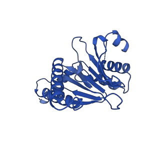 13695_7pxa_4_v1-1
Open-gate mycobacterium 20S CP proteasome in complex MPA - global 3D refinement