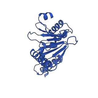 13695_7pxa_6_v1-1
Open-gate mycobacterium 20S CP proteasome in complex MPA - global 3D refinement