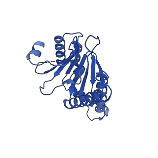 13695_7pxa_8_v1-1
Open-gate mycobacterium 20S CP proteasome in complex MPA - global 3D refinement