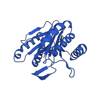 13695_7pxa_H_v1-1
Open-gate mycobacterium 20S CP proteasome in complex MPA - global 3D refinement