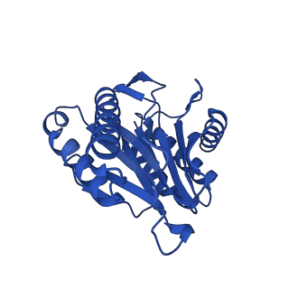 13695_7pxa_J_v1-1
Open-gate mycobacterium 20S CP proteasome in complex MPA - global 3D refinement