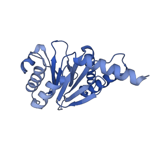 13695_7pxa_K_v1-1
Open-gate mycobacterium 20S CP proteasome in complex MPA - global 3D refinement