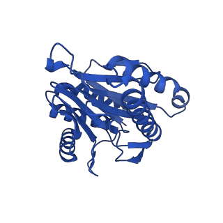 13695_7pxa_L_v1-1
Open-gate mycobacterium 20S CP proteasome in complex MPA - global 3D refinement
