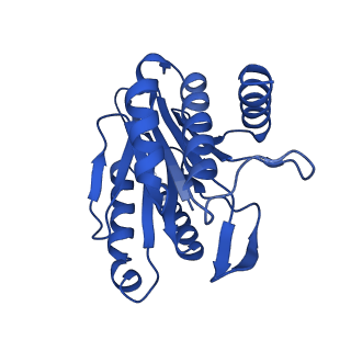 13695_7pxa_N_v1-1
Open-gate mycobacterium 20S CP proteasome in complex MPA - global 3D refinement