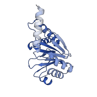 13695_7pxa_O_v1-1
Open-gate mycobacterium 20S CP proteasome in complex MPA - global 3D refinement