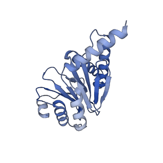 13695_7pxa_Q_v1-1
Open-gate mycobacterium 20S CP proteasome in complex MPA - global 3D refinement