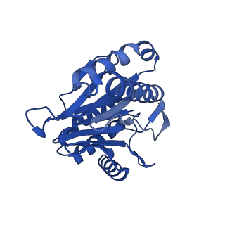 13695_7pxa_R_v1-1
Open-gate mycobacterium 20S CP proteasome in complex MPA - global 3D refinement
