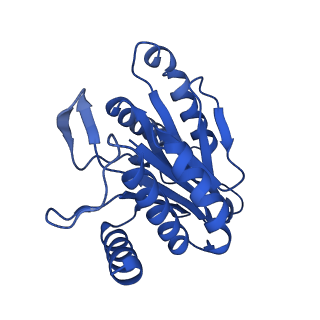 13695_7pxa_S_v1-1
Open-gate mycobacterium 20S CP proteasome in complex MPA - global 3D refinement
