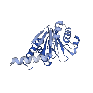 13695_7pxa_T_v1-1
Open-gate mycobacterium 20S CP proteasome in complex MPA - global 3D refinement