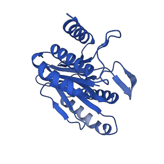 13695_7pxa_V_v1-1
Open-gate mycobacterium 20S CP proteasome in complex MPA - global 3D refinement