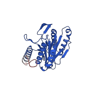 13695_7pxa_W_v1-1
Open-gate mycobacterium 20S CP proteasome in complex MPA - global 3D refinement