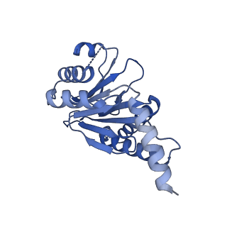 13695_7pxa_X_v1-1
Open-gate mycobacterium 20S CP proteasome in complex MPA - global 3D refinement