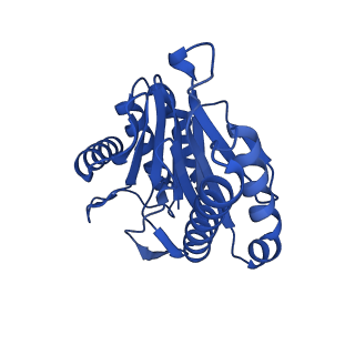 13695_7pxa_Y_v1-1
Open-gate mycobacterium 20S CP proteasome in complex MPA - global 3D refinement