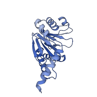 13695_7pxa_Z_v1-1
Open-gate mycobacterium 20S CP proteasome in complex MPA - global 3D refinement